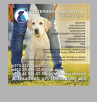 Могилев Скидки для АвтоЛеди от 10%